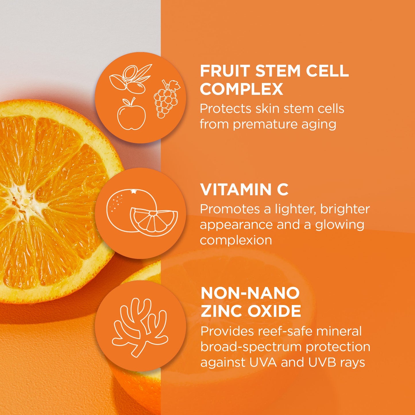 Brightening Vitamin C BB Beauty Balm Sheer Tint SPF 30