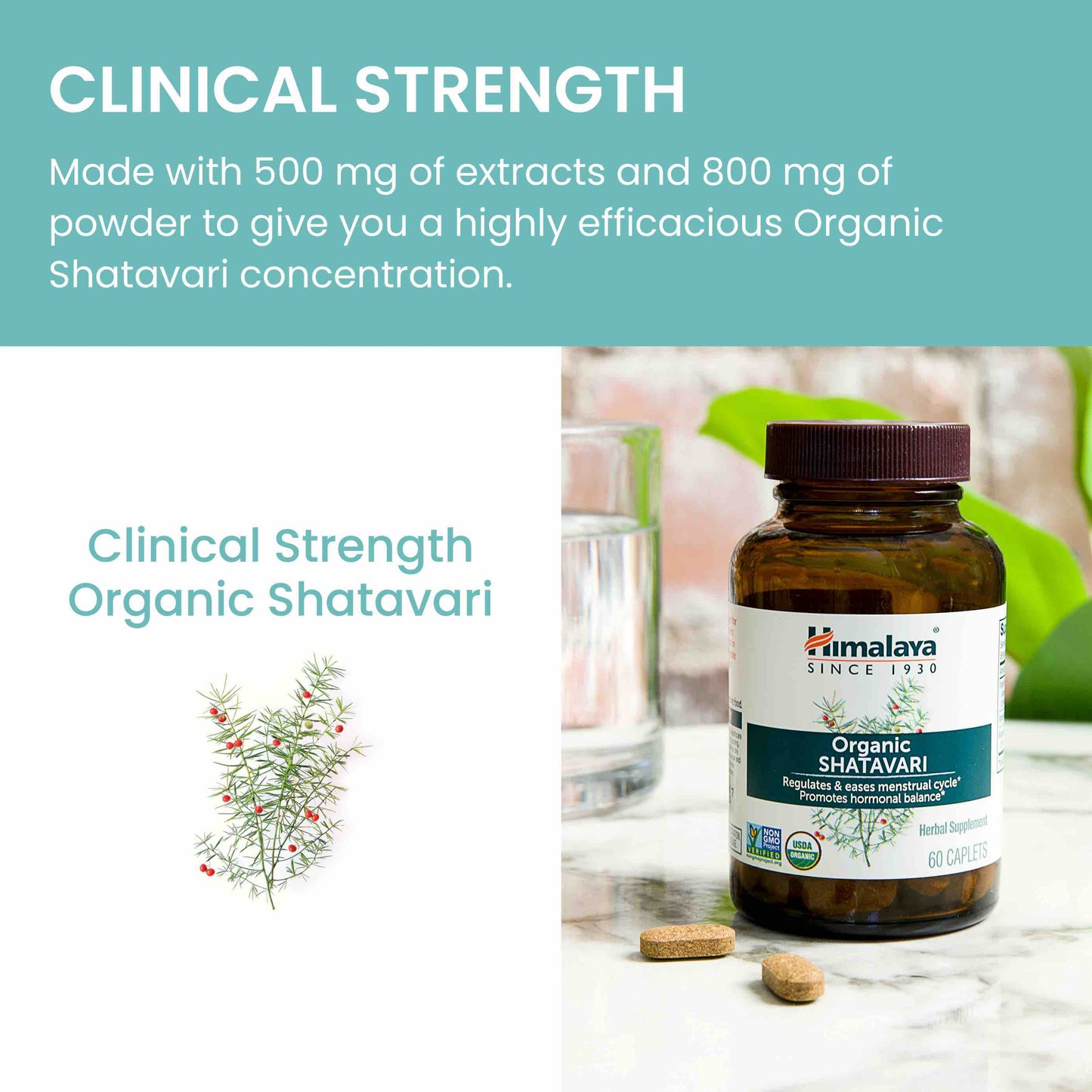 Organic Shatavari