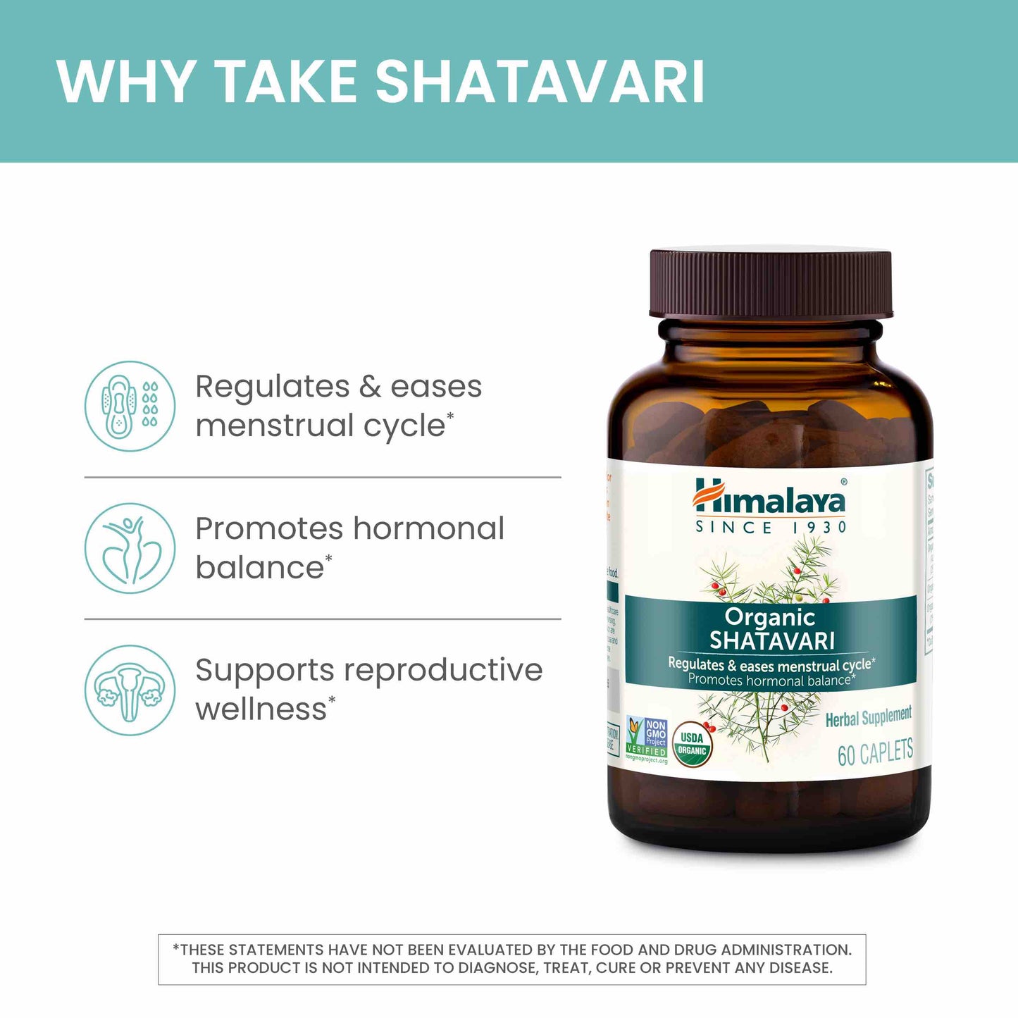 Organic Shatavari